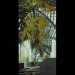 peinture-serres-auteuil-14-75x150-michelle-auboiron thumbnail