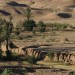 morocco-roadbook-carnet-de-voyage-peintures-michelle-auboiron-photos-charles-guy-04-14 thumbnail