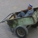 morocco-roadbook-carnet-de-voyage-peintures-michelle-auboiron-photos-charles-guy-05-5 thumbnail