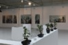 exposition-made-in-hong-kong-peintures-michelle-auboiron-espace-commines-paris-novembre-2010-11 thumbnail
