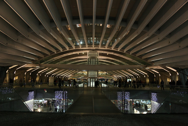 oriente-station-lisboa-architecte-santiago-calatrava-photo-charles-guy-22