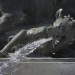 fontaines-grandes-eaux-chateau-de-versailles-photos-charles-guy-14 thumbnail