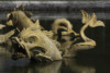 photos-bassin-de-neptune-dragon-versailles-photo-charles-guy-3 thumbnail