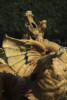 photos-bassin-de-neptune-dragon-versailles-photo-charles-guy-4 thumbnail