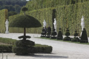 Taupières dans le parc du Château de Versailles