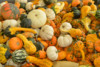Escapade-au-Vermont-2022-16 thumbnail